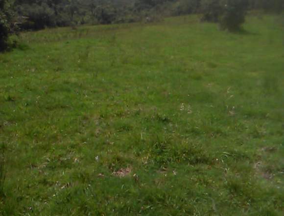 VENDO ESPECTACULAR FINCA EN GUATAVITA