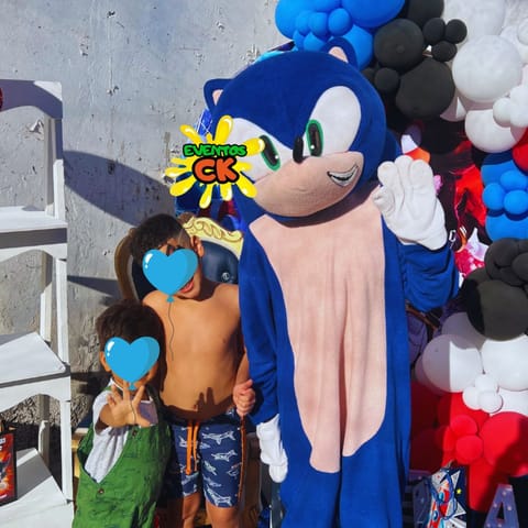 Visita de Amy Rose para cumpleaños infantil