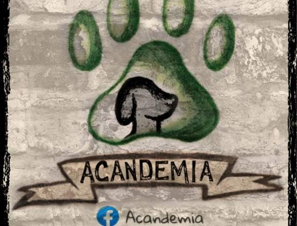 Entrenamiento canino en Azcapotzalco (Municipio)