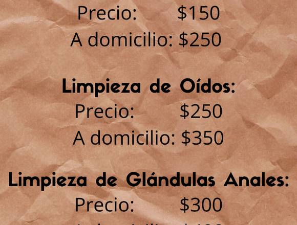 Peluquería y Estética Canina profesional en Colonia del Sacramento (Localidad)