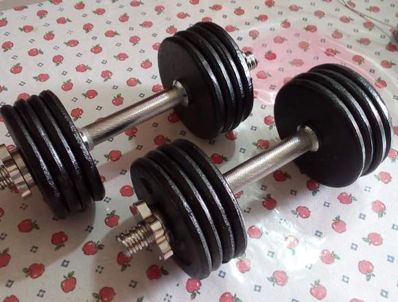 Mancuernas o pesas de metal solido 18 kilos total