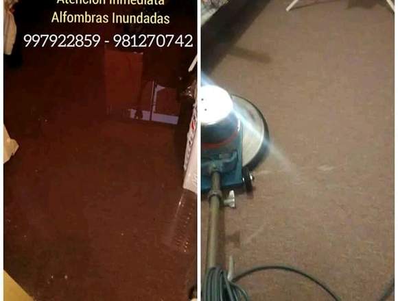 Atención a Inundacion Alfombra en Lima (Lima 1) (Distrito) – Foto 2 de 2