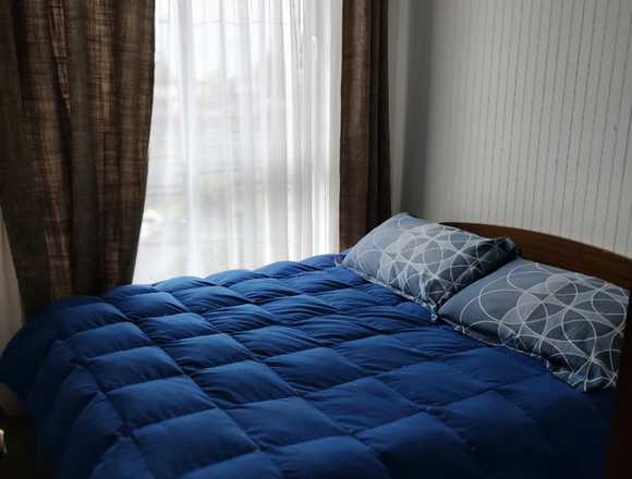 Arriendo departamento amoblado por dia en Temuco (Comuna)