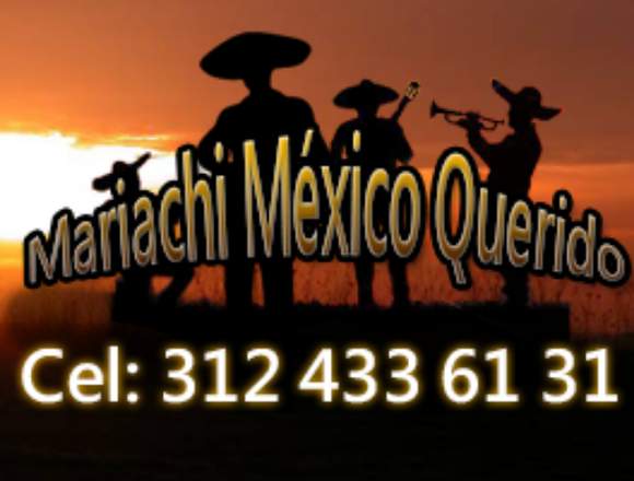 Servicio de mariachis en bogota y sus alrededores en Bogotá, D.C. (Municipio)