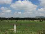 Terreno Carr Fed 45 Rincón de Romos-Cosio, Ags en Rincón de Romos (Municipio)