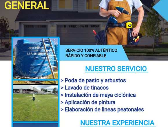 Realizacion de podas, y mantenimiento en general en Nentón (Municipio)