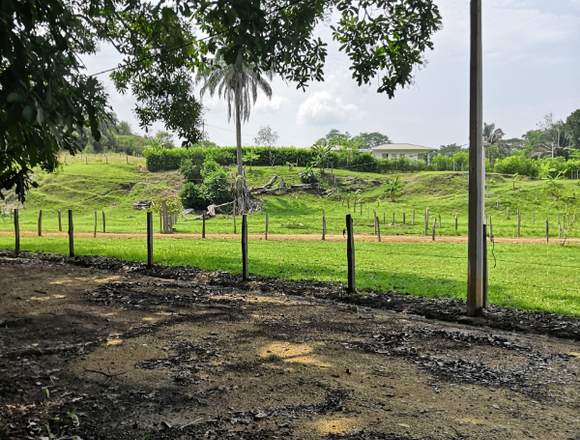 LOTE EN VENTA EN CARMEN DE APICALA