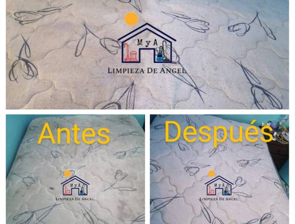 Limpieza de Angel MYA en Álvaro Obregón (Municipio)
