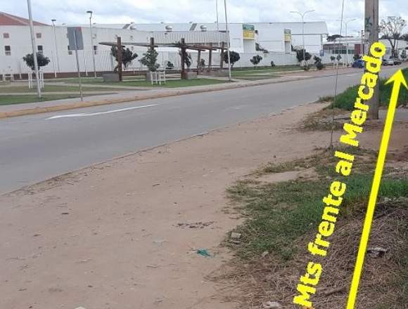 SOBRE AV. ALEMANA TERRENO Y EN ESQUINA! en Santa Cruz (Localidad)