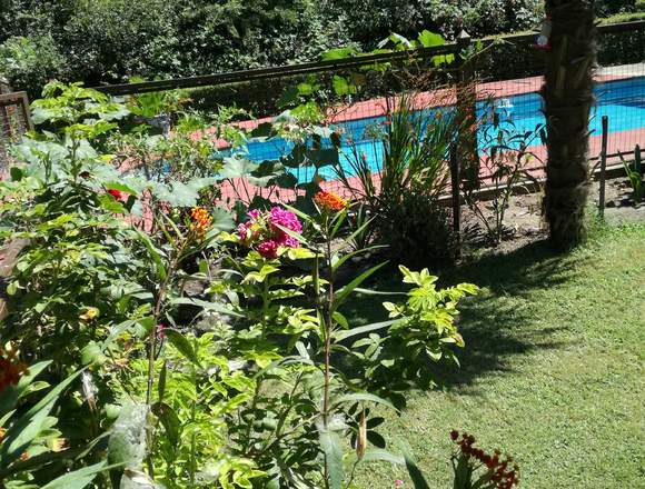 Vendo Casa Quinta rodeada de verde