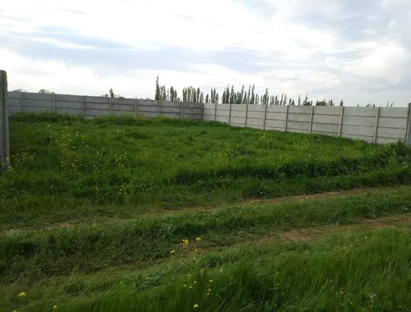 Sitio con panderetas