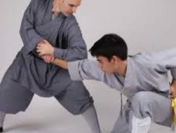 Clases de artes MARCIALES CLASICAS en Ojuelos de Jalisco (Municipio)