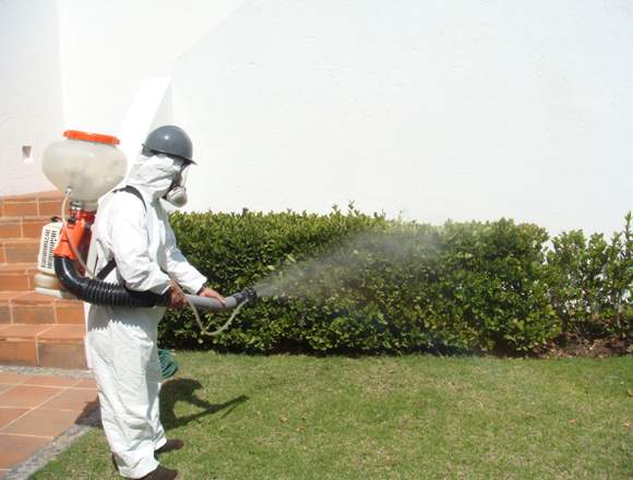 Fumigaciones y servicios de Plomería servi Plagas en Maracaibo (Municipio)
