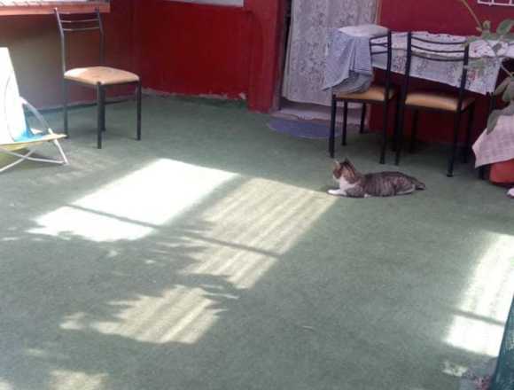 Vendo Propiedad con 3 casas independientes en Renca (Comuna)