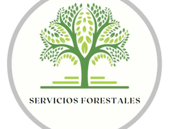 Ingeniero Ténico Forestal en Robledo de Chavela (Municipio)