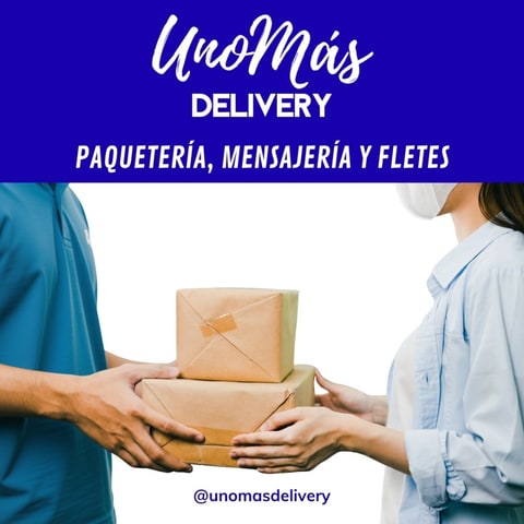 Servicio de Paquetería y Mensajería para Negocios y Emprendedores en Ciudad de Guatemala (Municipio)