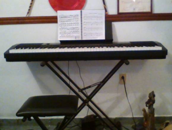 VENDO PIANO PROFESIONAL MARCA CASIO
