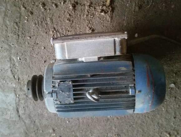 MOTOR ELECTRICO MONOFASICO WEG en José Tadeo Monagas (Municipio)