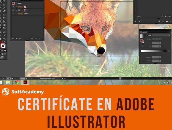 CURSO CEERTIFICADO DE ADOBE ILLUSTRATOR en Mérida (Municipio)
