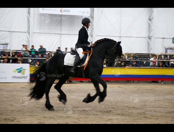Gran Feria Agropecuaria AGROEXPO 2019 en San Martín de Porres (Lima 31) (Distrito)