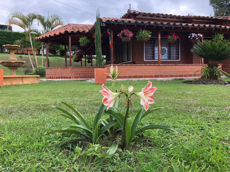 Venta Finca Vereda Las Hojas, Rionegro, Antioquia en Rionegro (Municipio)