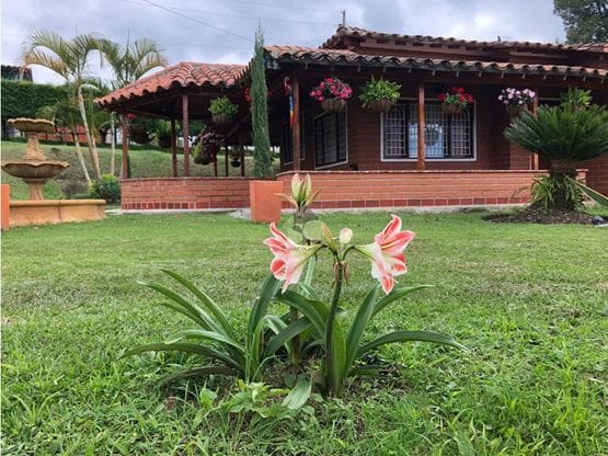 Venta Finca Vereda Las Hojas, Rionegro, Antioquia