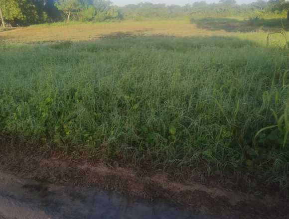 VENDO TERRENO EN ARROYO HONDO VIEJO en Santo Domingo de Guzmán (Municipio)