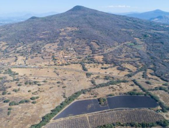 RANCHO PLANO DE 45 HECTAREAS EN VENTA