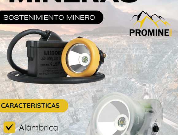 LAMPARA WISDOM - INALAMBRICA - ALAMBRICA - PROMINE en Moquegua (Distrito)