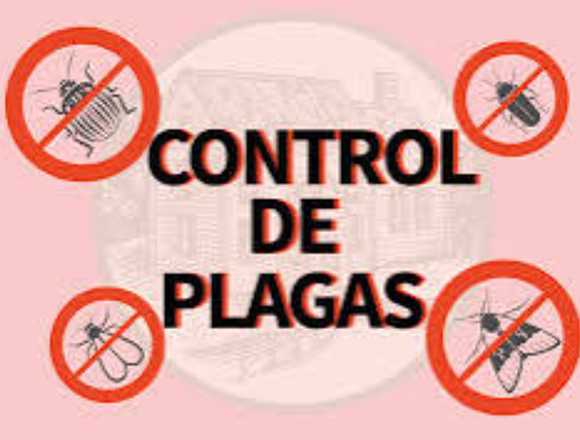 Fumigación Control y Eliminación de plagas en Salinas (Cantón)