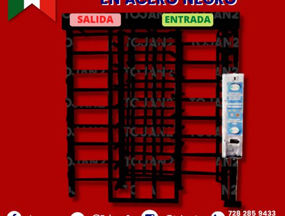 PUERTA GIRATORIA DOBLE EN ACERO NEGRO