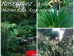 Diseño y ejecución de Parques en Villa María (Localidad)