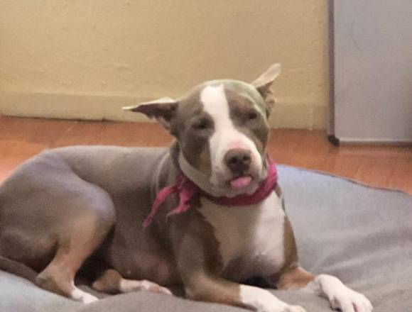 Flete 7 Dias a la semana en Alajuela (Cantón)