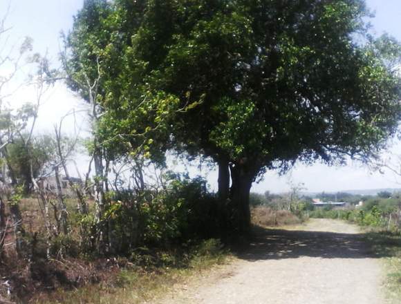 gran oportunidad propiedad sustanciosa en Berriozábal (Municipio)