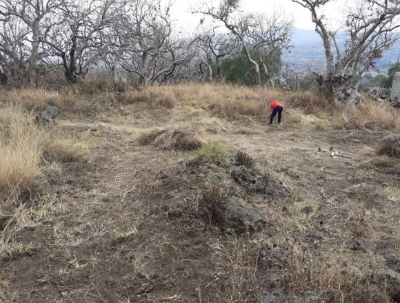 LOTES EN VENTA SAN ANTONIO TECOMITL en Milpa Alta (Municipio)