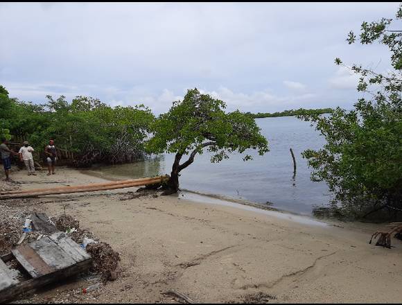 Lote en Venta isla Baru Ciénaga de cholón