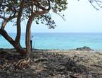 Espectacular Predio en Venta isla Baru