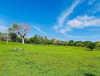 Lote en Venta isla Baru zona Peninsular