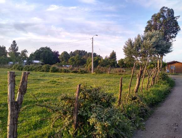 Se Vende hermosa Parcela de Agrado de 1 Hectárea en Los Ángeles (Comuna)
