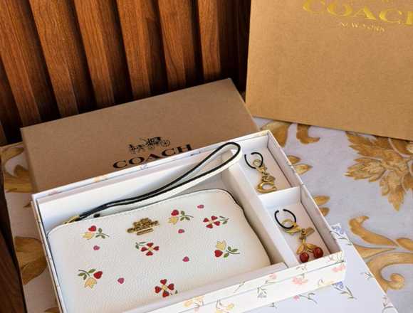 LOTE DE 10 MUÑEQUERAS COACH HAGA NEGOCIO en Querétaro (Municipio)