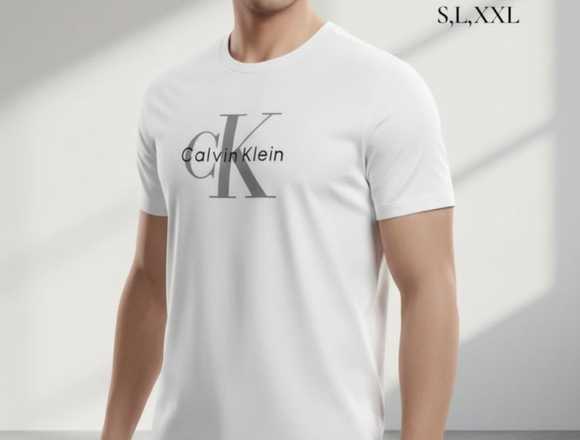 LOTE DE 10 PLAYERAS ORIGINALES CALVIN KLEIN en Querétaro (Municipio)