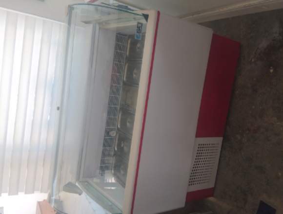 Vitrina para helados en Mérida (Municipio)