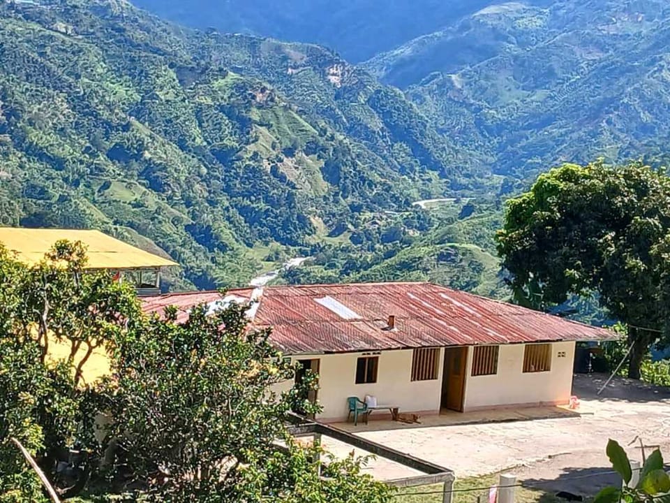 VENDO EXCELENTE FINCA VIA FRESNO CASABIANCA CON DIVERSIDAD DE CULTIVOS en Fresno (Municipio)