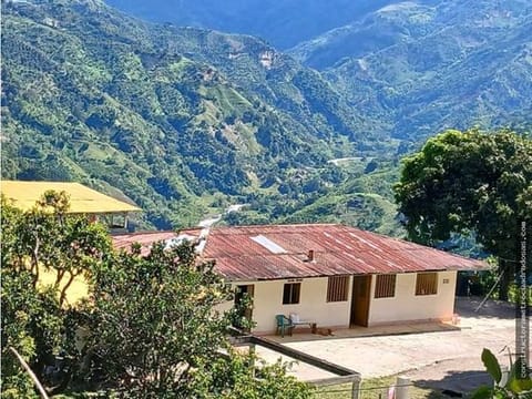 VENDO EXCELENTE FINCA VIA FRESNO CASABIANCA CON DIVERSIDAD DE CULTIVOS