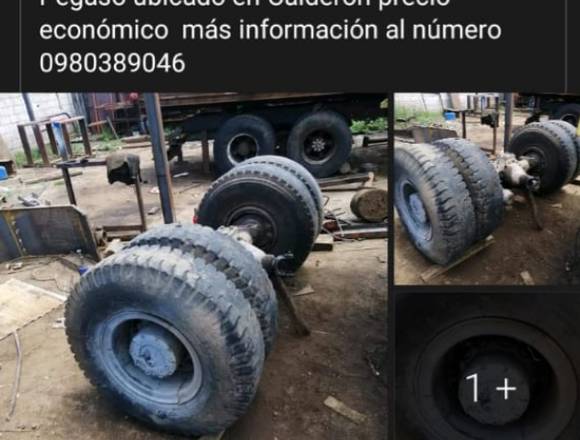 Trasmisión de Catalina montañera de Pegaso en Quito (Cantón)