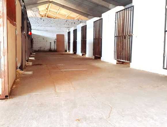 Servicios hípica la Armonía en Tudela de Duero (Municipio)