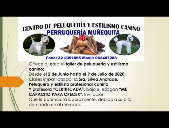 peluquería y estilismo canino. en Villa Alemana (Comuna)