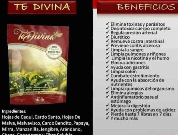 Te Divina, Reto Vive Sano en San Vicente (Cantón)