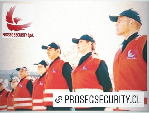 Servicios de seguridad privada y limpieza en Los Ángeles (Comuna)