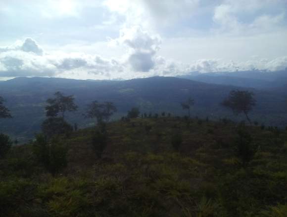 SE VENDE LOTE RURAL A 20 MIN DE SANGIL